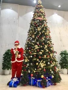 Creative and Unique Christmas Tree Ideas You Never Thought Possible - image 1