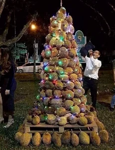Creative and Unique Christmas Tree Ideas You Never Thought Possible - image 6