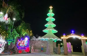 Creative and Unique Christmas Tree Ideas You Never Thought Possible - image 7