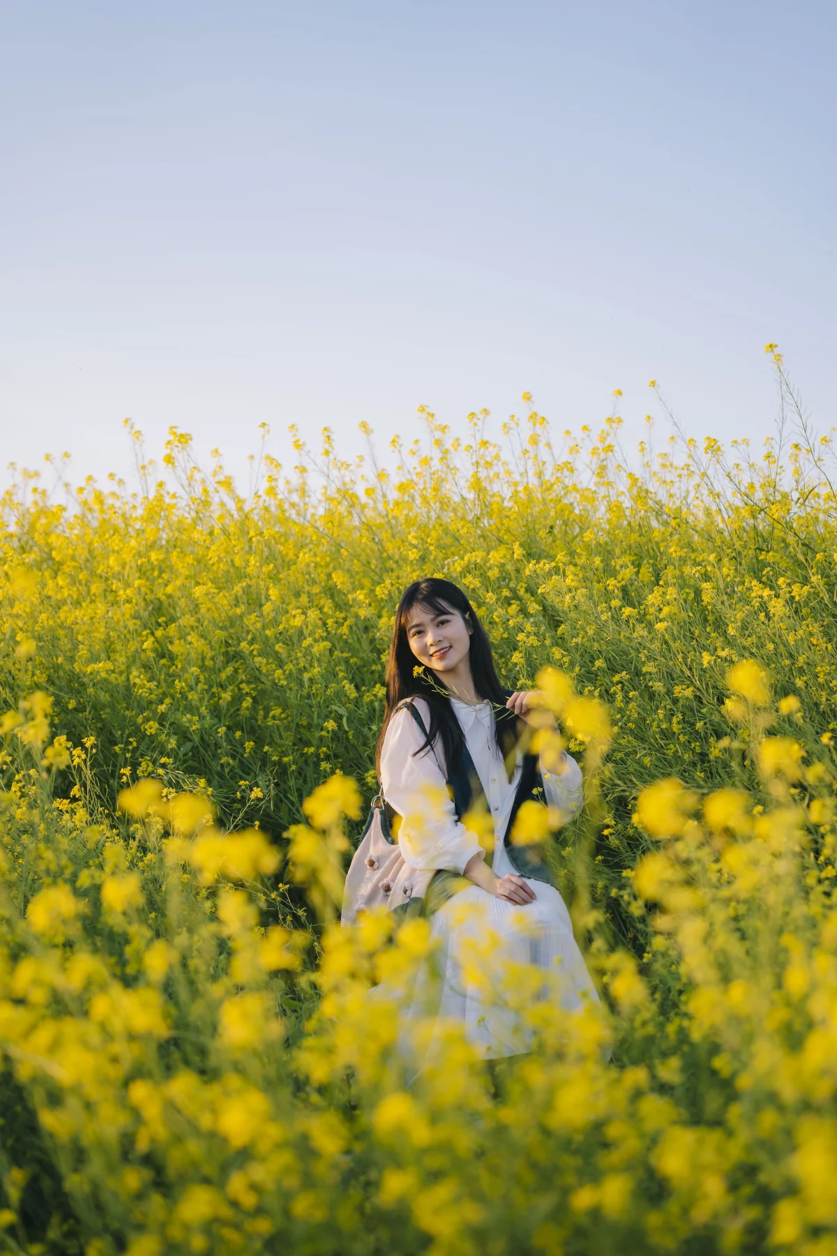 Discover the Golden Mustard Fields of Moc Chau: A Perfect Tet Holiday Photography Destination