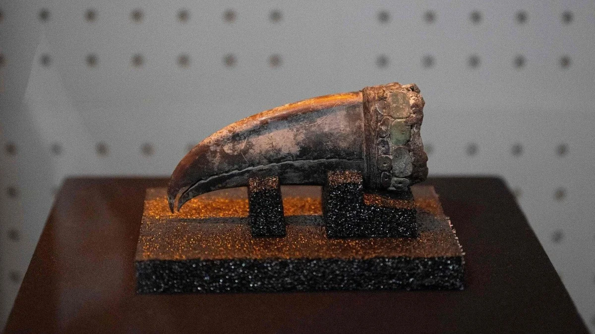 Discovery of a 5,000-Year-Old Tomb: The Secret Life of an Ancient Noblewoman