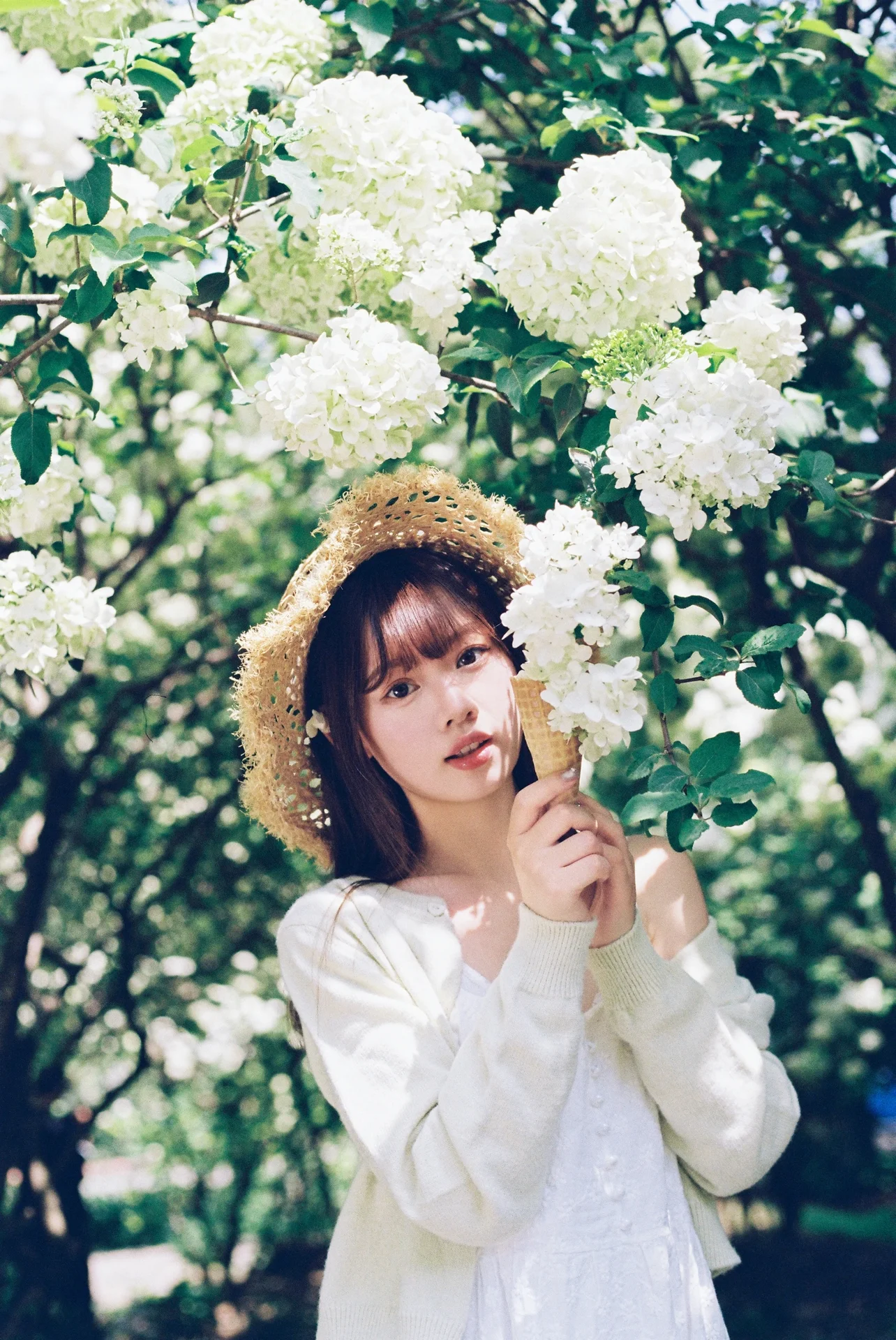 YITUYU Summer Collection The Hydrangea Season Photo Series