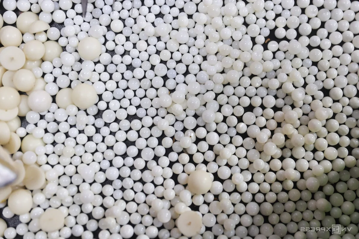 A Unique Journey: Exploring the Art of Pearl Harvesting in Ho Chi Minh City's Hidden Districts