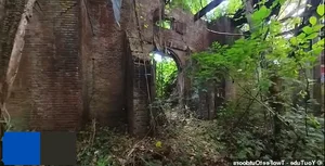 Inside North Brother Island: New York's Abandoned Historical Oasis - image 2