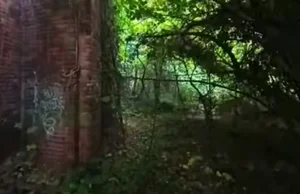 Inside North Brother Island: New York's Abandoned Historical Oasis - image 8