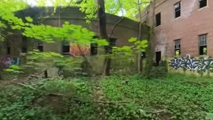 Inside North Brother Island: New York's Abandoned Historical Oasis - image 0