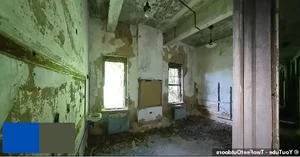Inside North Brother Island: New York's Abandoned Historical Oasis - image 5
