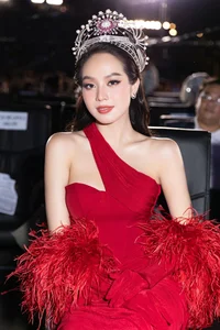 Miss Vietnam Thanh Thuy's Stunning Visual Transformation Sparks Fan Debate - image 2