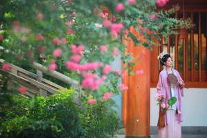 YiTuYu Art Language Vol.9580 Yi Zhi Da Da Da Li Zi Gallery - image 7