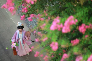 YiTuYu Art Language Vol.9580 Yi Zhi Da Da Da Li Zi Gallery - image 3