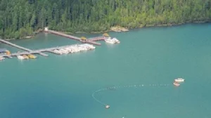 The Terrifying Mystery of China’s Most Notorious 'Water Monster' - image 1