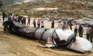 The Terrifying Mystery of China’s Most Notorious 'Water Monster' - image 2