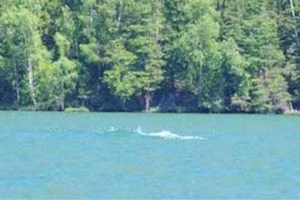 The Terrifying Mystery of China’s Most Notorious 'Water Monster' - image 0