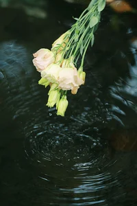 The Art of Summer: Long Xing Er’s Ethereal Portrait Series - image 13