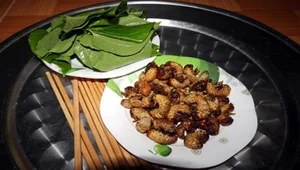 The Natural Aphrodisiac Boosting Wellness and Creating a High-Demand Market - image 3