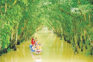 Exploring the Roots: A Peek into the Childhood Homes of Cong Vinh and Thuy Tien's Daughter - image 0