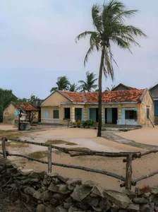 Discover Lo Village: Vietnam's Nominee for Best Tourism Village and Healing Travel - image 2