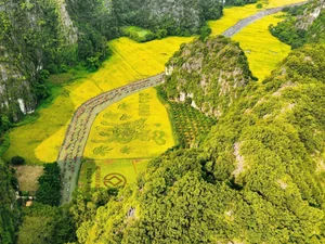 5 Healing Travel Destinations in Vietnam: A Journey to Reconnect with Nature and Inner Peace - image 2