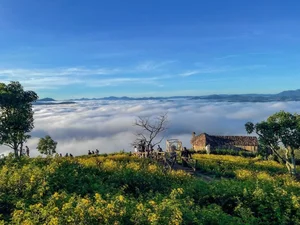 5 Healing Travel Destinations in Vietnam: A Journey to Reconnect with Nature and Inner Peace - image 0