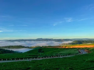 5 Healing Travel Destinations in Vietnam: A Journey to Reconnect with Nature and Inner Peace - image 5