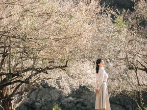 5 Healing Travel Destinations in Vietnam: A Journey to Reconnect with Nature and Inner Peace - image 9