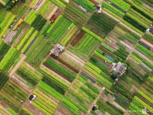 5 Healing Travel Destinations in Vietnam: A Journey to Reconnect with Nature and Inner Peace - image 1