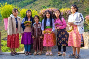 Early Winter in Ha Giang: A Three-Day Journey Through Northern Vietnam - image 9