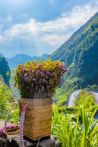 Early Winter in Ha Giang: A Three-Day Journey Through Northern Vietnam - image 5