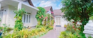The Inspiring Life of Vietnam's First PhD People's Artist: Art, Academia, and Independent Living - image 6