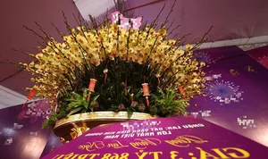 The 4 Billion VND Gold-Plated Orchid: A Masterpiece of Luxury and Craftsmanship - image 0