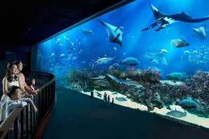 Unlocking Singapore: 7 Brand New Travel Experiences You Cannot Miss on Your Next Visit - image 4