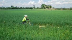 Perfect Weekend Cycling Getaways Near Ho Chi Minh City for Nature Lovers - image 3