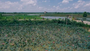Perfect Weekend Cycling Getaways Near Ho Chi Minh City for Nature Lovers - image 2