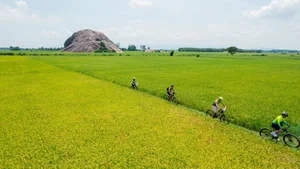 Perfect Weekend Cycling Getaways Near Ho Chi Minh City for Nature Lovers - image 4