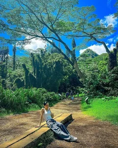 Huong Giang Explores the Lush Tropical Rainforests of Hawaii in Breathtaking Gallery - image 2