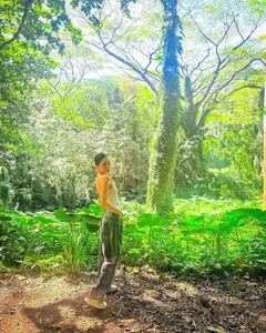 Huong Giang Explores the Lush Tropical Rainforests of Hawaii in Breathtaking Gallery - image 4