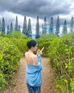 Huong Giang Explores the Lush Tropical Rainforests of Hawaii in Breathtaking Gallery - image 9