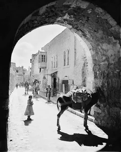 Rare Historical Photos of Daily Life in 20th Century Jerusalem - image 3