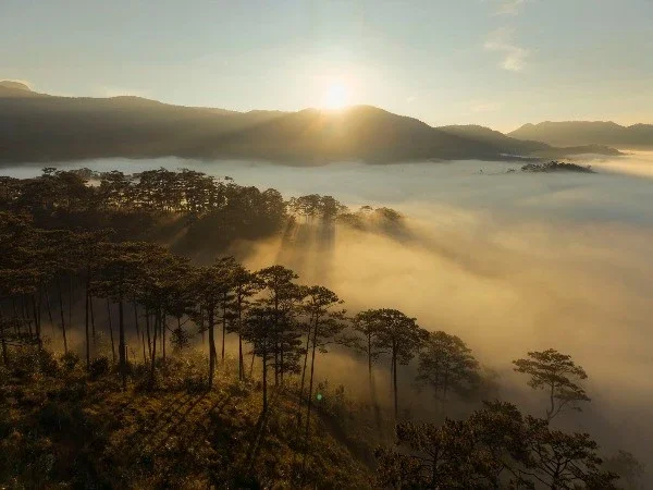 Cloud Hunting in K’Long K’Lanh: A Journey Through Flowers and Coastal Views