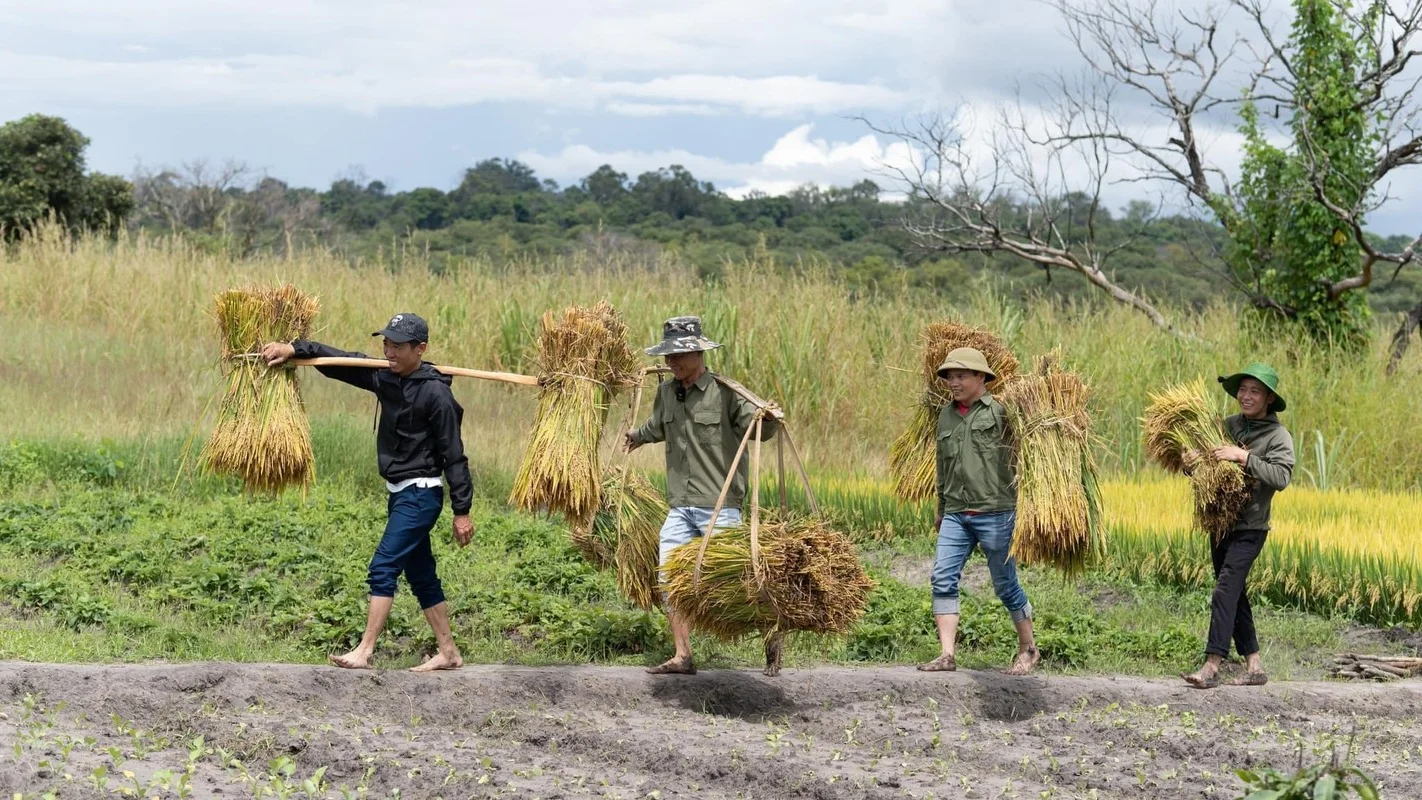 Quang Linh Vlogs Succeeds in Angola: Transforming Agriculture and Welcoming Diplomatic Visits