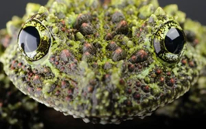 Discovering the Most Bizarre and Haunting Exotic Animals in Vietnam - image 6