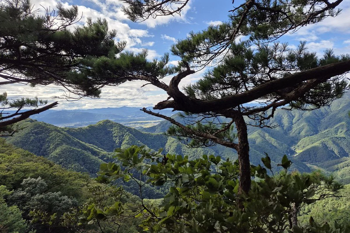 Moving to South Korea: A Complete Expat Guide to Living, Housing, and Cultural Integration in Seoul