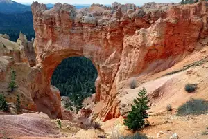 Discover Bryce Canyon National Park: Unique Hoodoo Rock Formations, Utah's Majestic Landscape - image 7