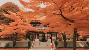 Discover South Korea: 99+ Stunning Full HD Travel and Culture Images - image 46