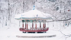 Discover South Korea: 99+ Stunning Full HD Travel and Culture Images - image 82