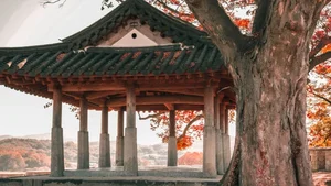 Discover South Korea: 99+ Stunning Full HD Travel and Culture Images - image 54