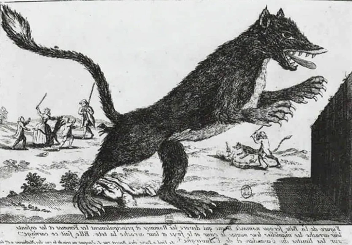 The Beast of Gévaudan: Unraveling the Terrifying 18th-Century Werewolf Legend