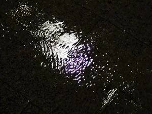 La Mancha Negra: The Mysterious Black Slime That Haunted Venezuela's Highways - image 2