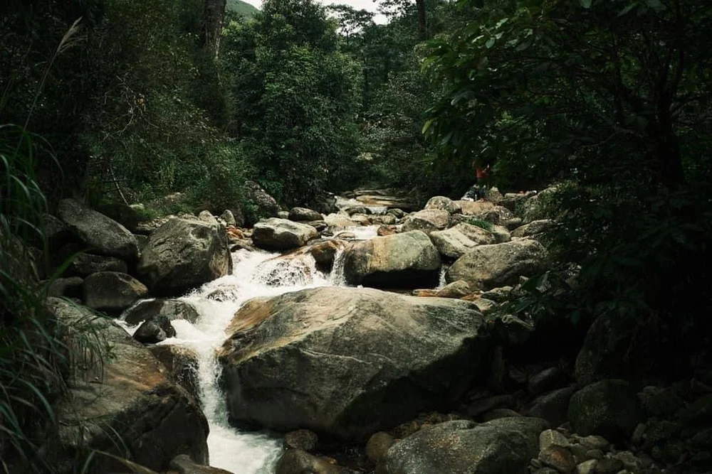 Challenge Yourself at Ky Quan San: The Ultimate Trekking Peak Near Hanoi