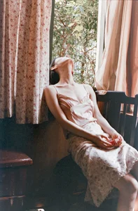 YiTuYu Art Language Vol.9592 Tree 15P Aesthetic Photo Gallery - image 14